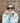 Ashton 22 Women's Wooden Sunglasses